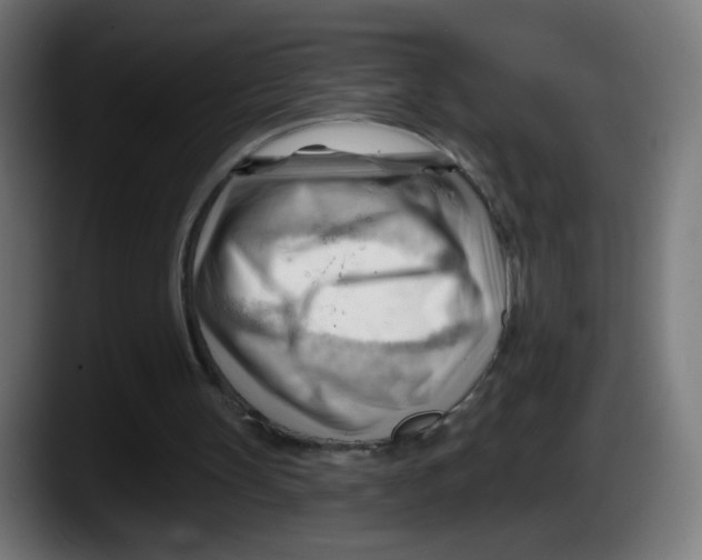X0000087550147200705251747