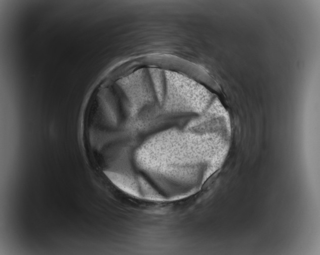 X0000087550148200705251747