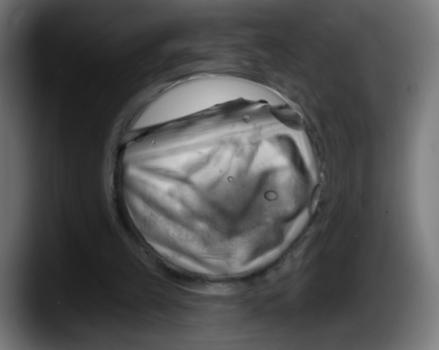 X0000087550149200705251747