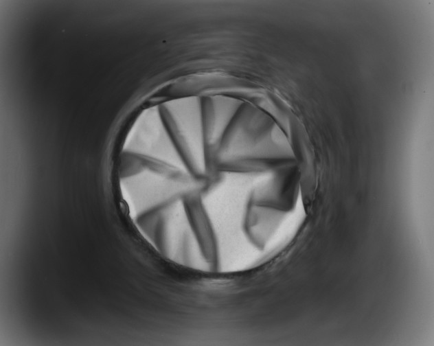 X0000087550150200705251747