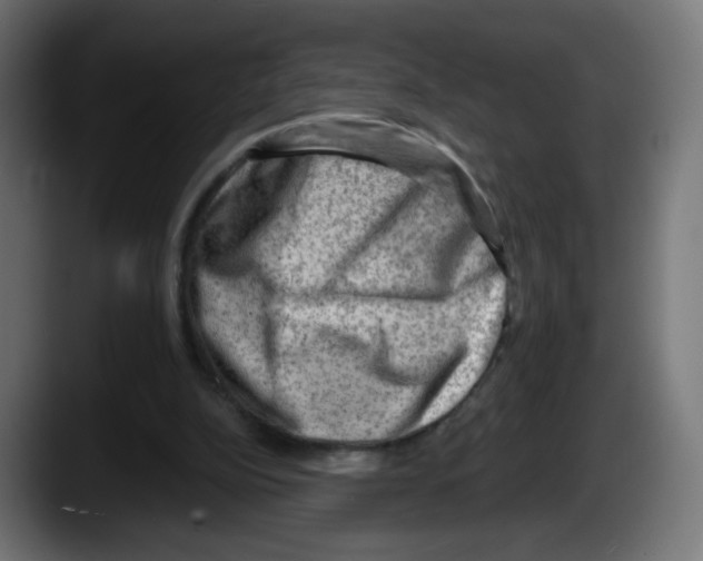 X0000087550152200705251747