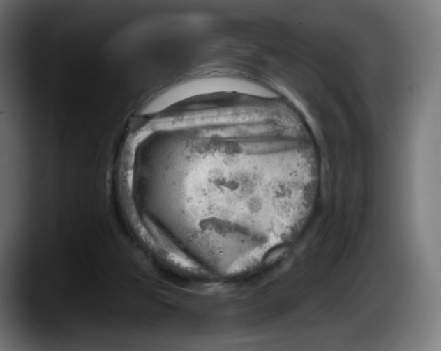 X0000087550153200705251747