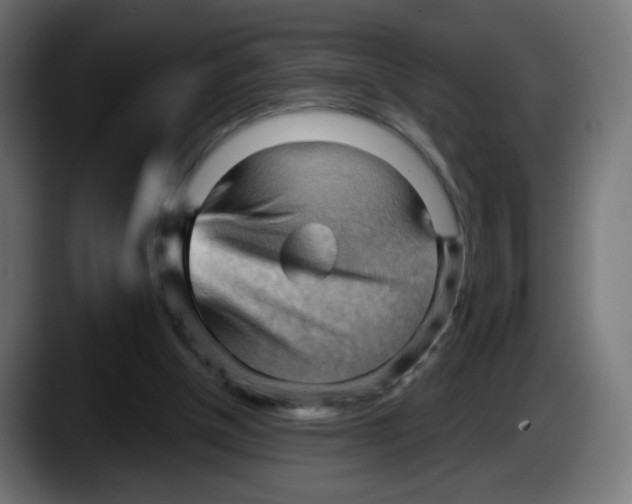 X0000087550154200705251747