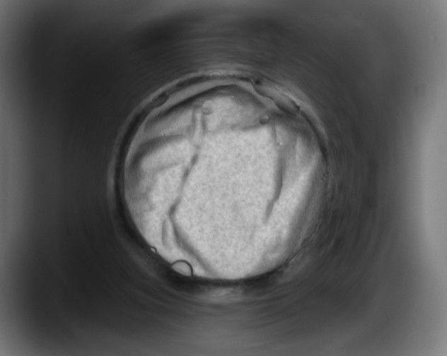 X0000087550155200705251747