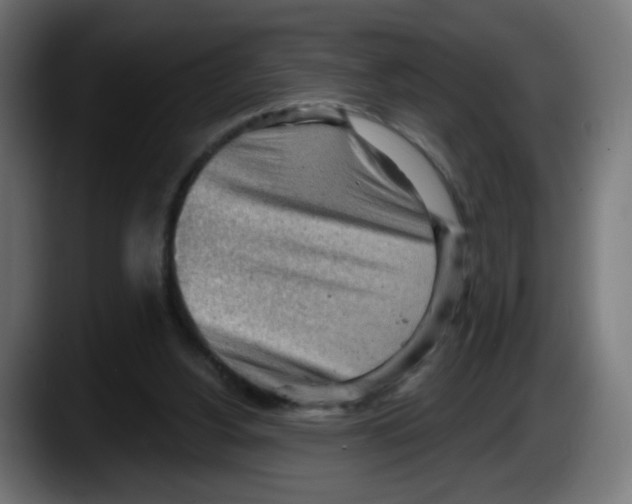 X0000087550156200705251747