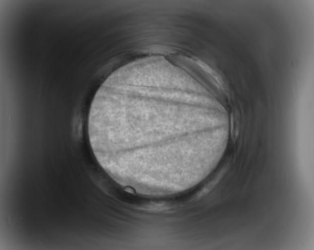 X0000087550157200705251747