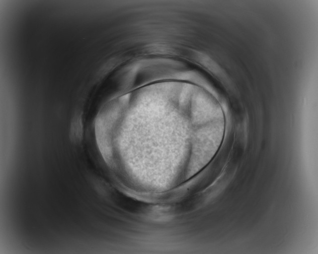 X0000087550158200705251747