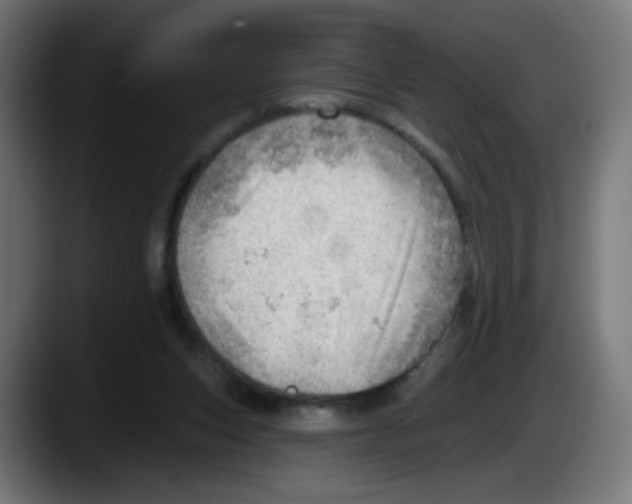 X0000087550159200705251747