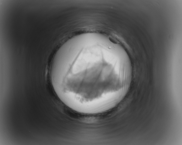 X0000087550161200705251747