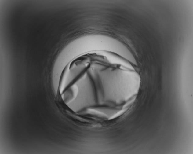 X0000087550162200705251747