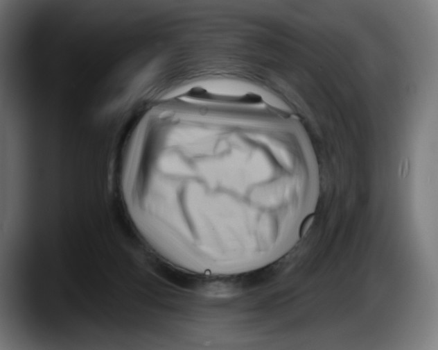 X0000087550163200705251747