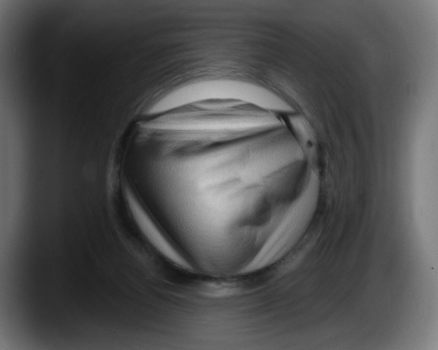 X0000087550164200705251747