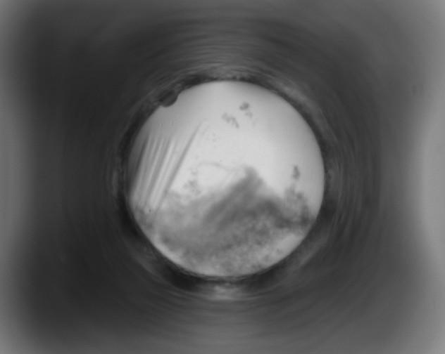 X0000087550165200705251747