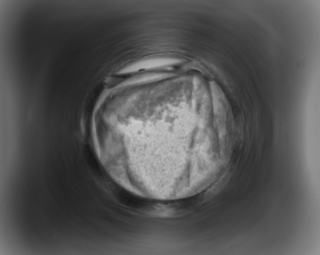 X0000087550166200705251747