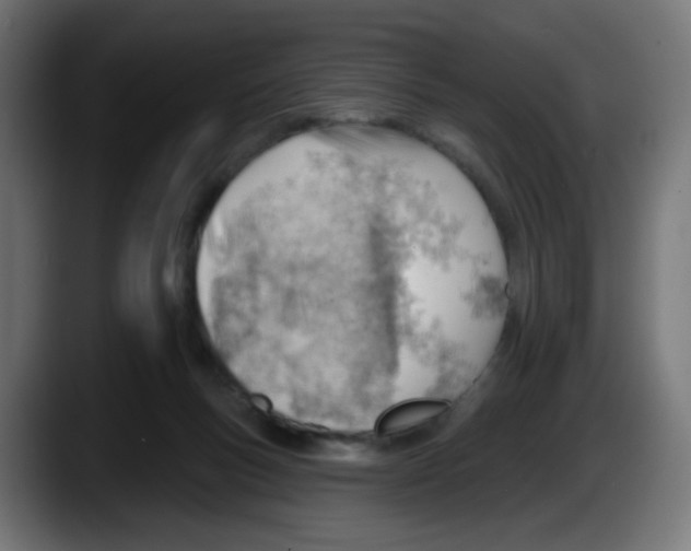 X0000087550167200705251747