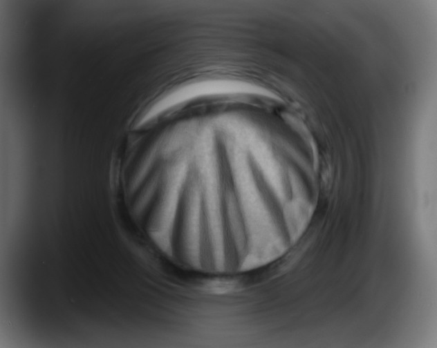 X0000087550168200705251747
