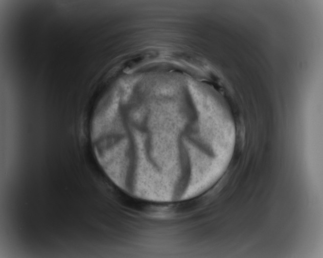 X0000087550170200705251747