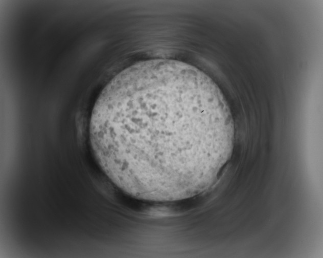 X0000087550171200705251747
