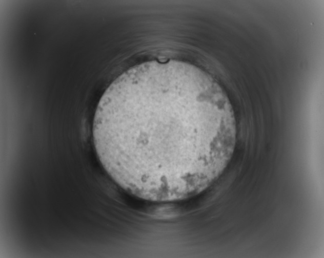 X0000087550173200705251747