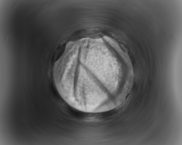 X0000087550175200705251747