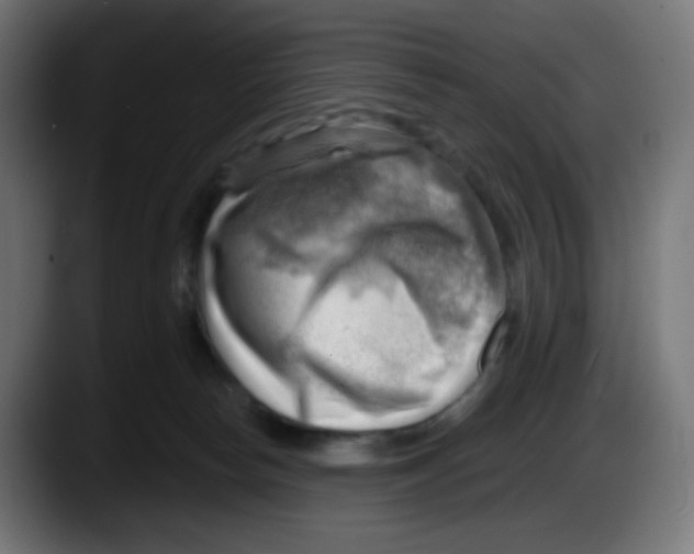 X0000087550178200705251747