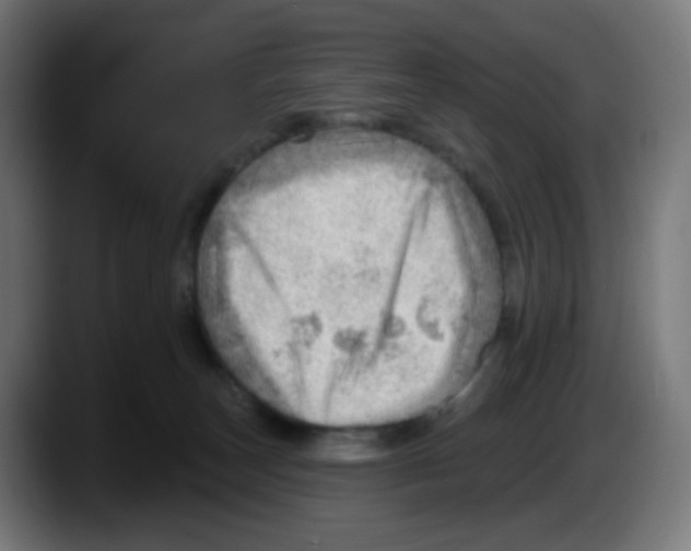X0000087550179200705251747