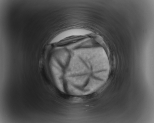 X0000087550180200705251747