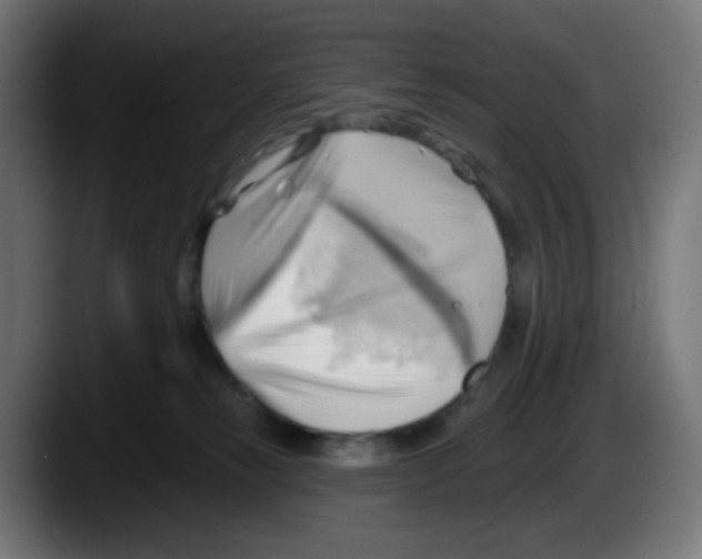 X0000087550181200705251747