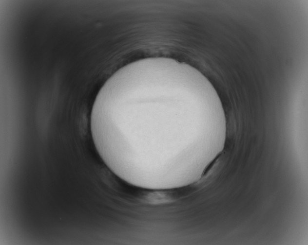 X0000087550183200705251747