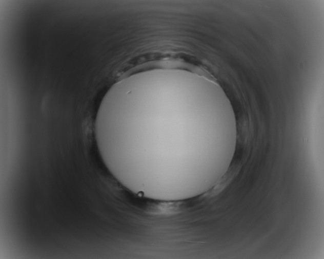 X0000087550184200705251747
