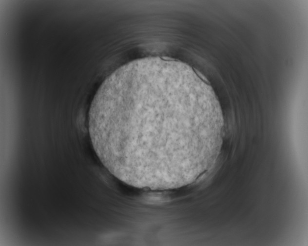 X0000087550187200705251747