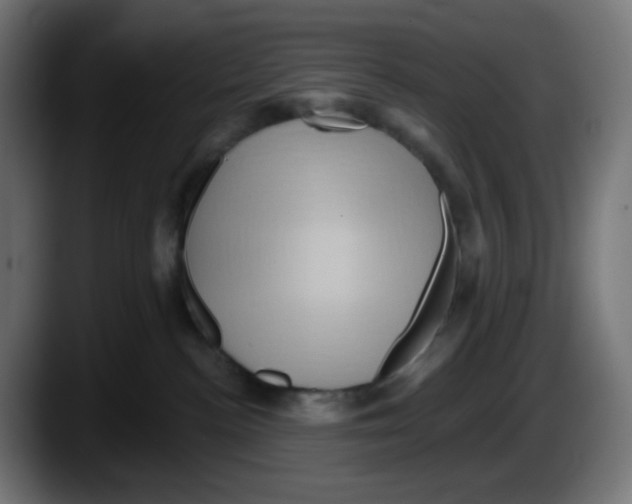 X0000087550188200705251747