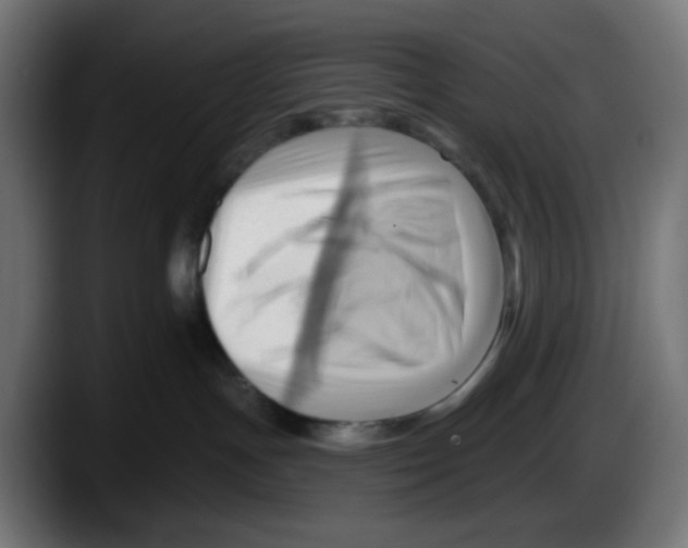 X0000087550191200705251747