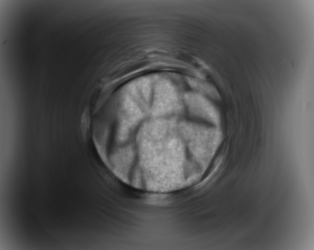 X0000087550192200705251747