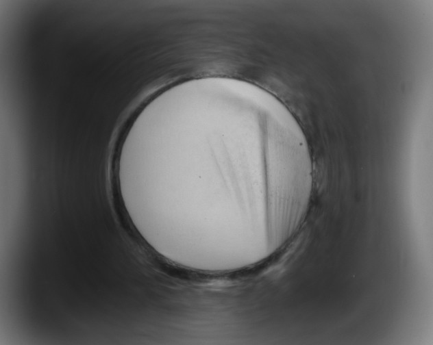 X0000087550196200705251747