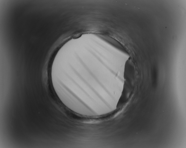 X0000087550198200705251747