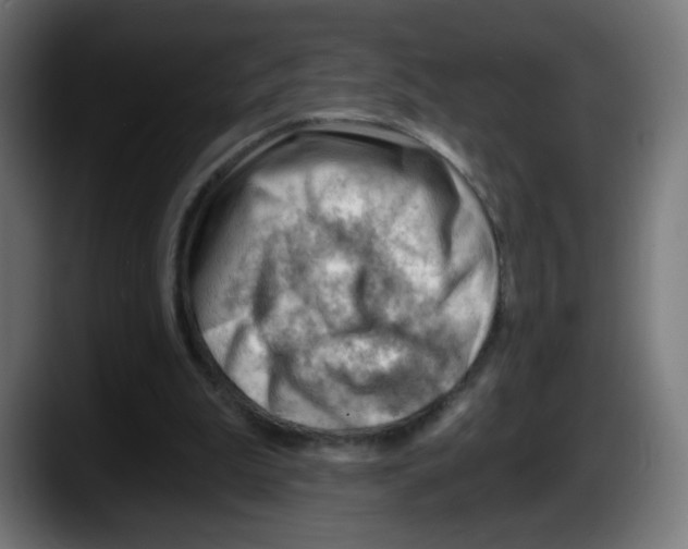 X0000087550199200705251747