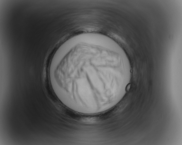 X0000087550202200705251747