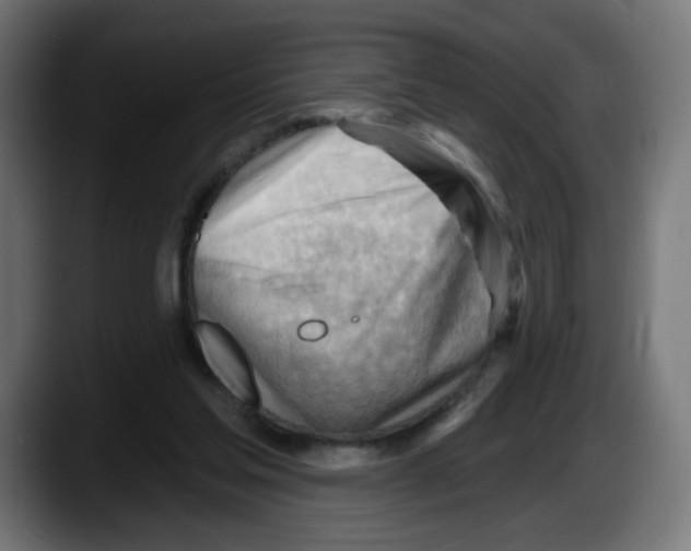 X0000087550205200705251747