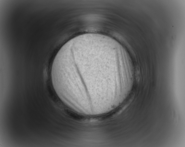 X0000087550208200705251747