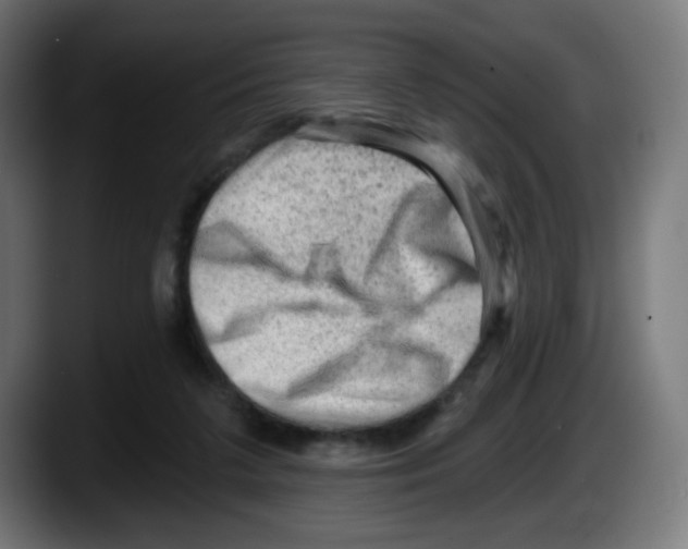 X0000087550211200705251747