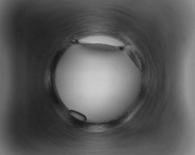 X0000087550213200705251747