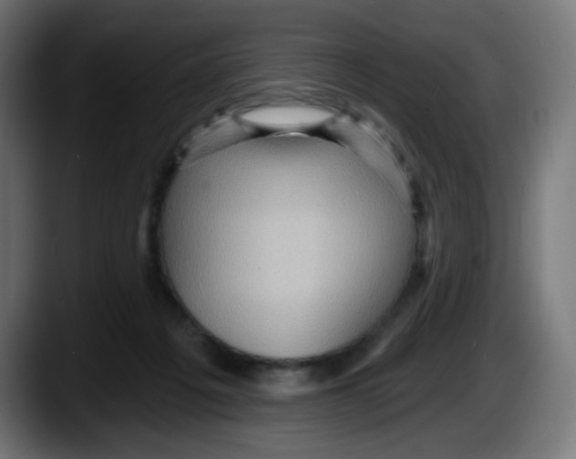 X0000087550217200705251746