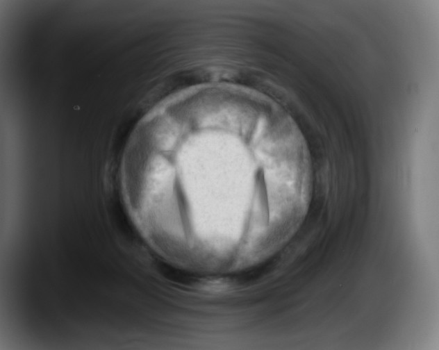 X0000087550218200705251746