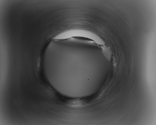 X0000087550219200705251746