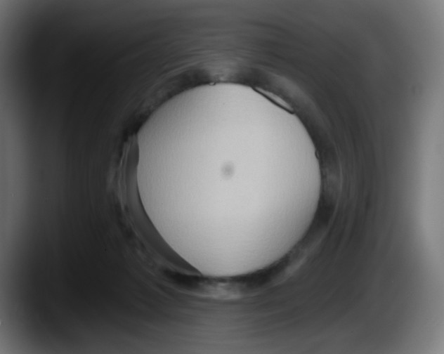 X0000087550221200705251746