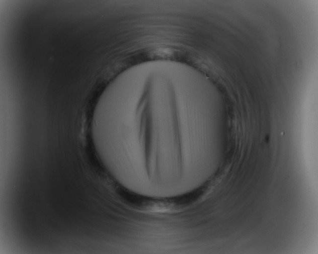 X0000087550223200705251746