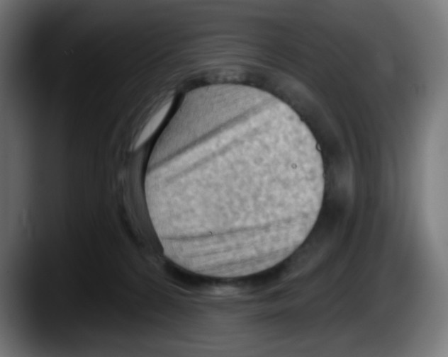 X0000087550224200705251746