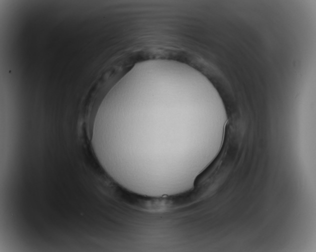 X0000087550225200705251746