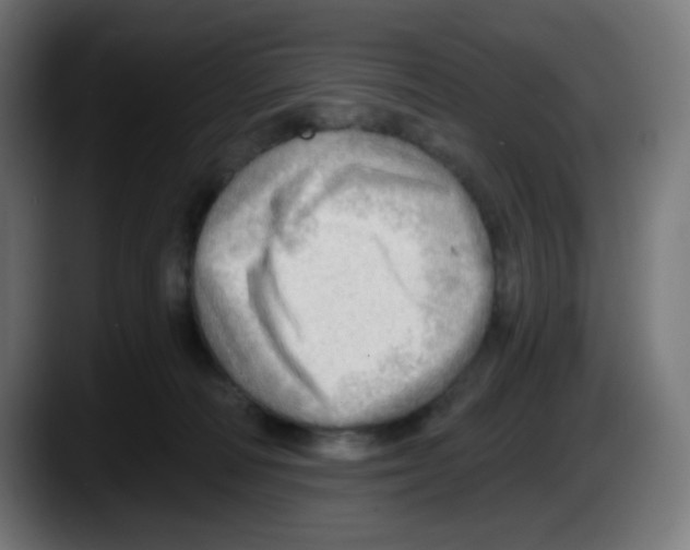 X0000087550226200705251746